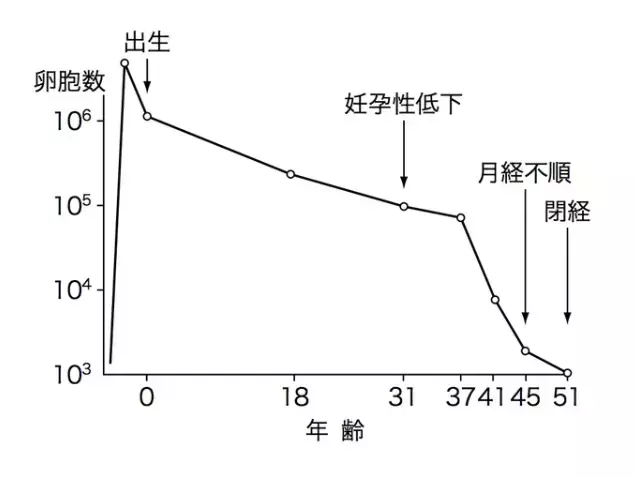 ファミラボ「元看護師が『人生変える34歳からの婚活』を謳う理由」- 3