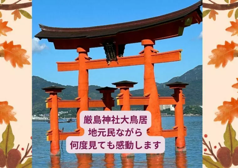 神社好きな方増えています・・御朱印集めていますか？