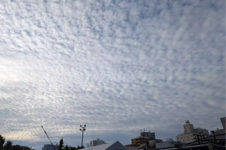おはようございます。