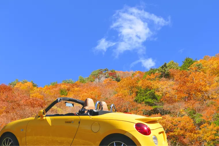 誰でも最初は「婚活初心者」！知っておくべきポイントは？