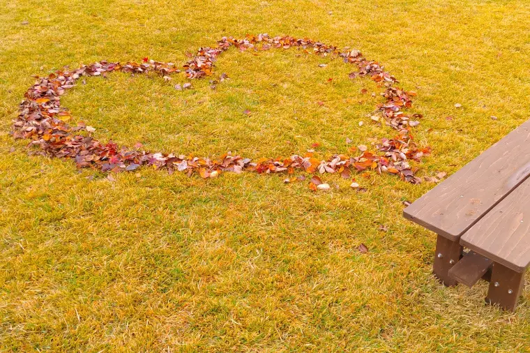 婚活を始めるなら秋がベスト！理想の出会いを見つける方法
