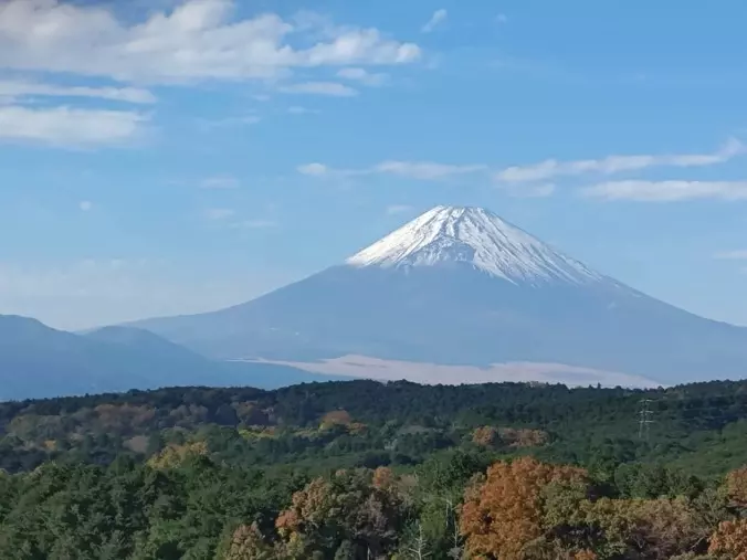 マリアージュ幸「バツイチ独身が結婚相談所で選ばれる理由」- 2