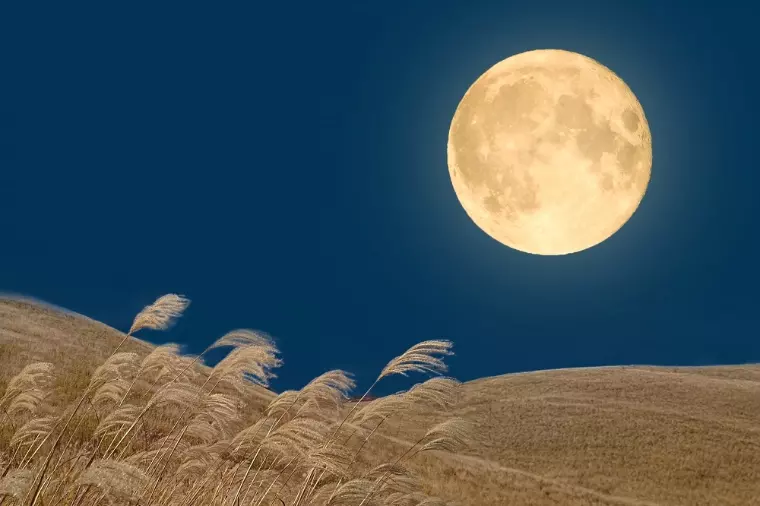 秋の夜長。10月に婚活者が増える理由はなぜ？