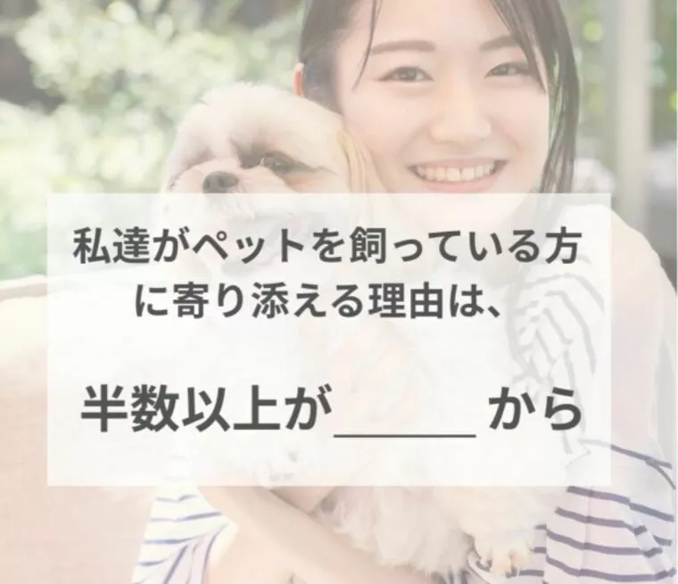 私たちがペットを飼っている方に寄り添える理由。