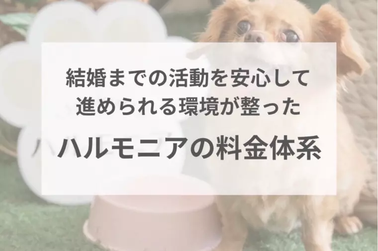 ハルモニアの料金体系について