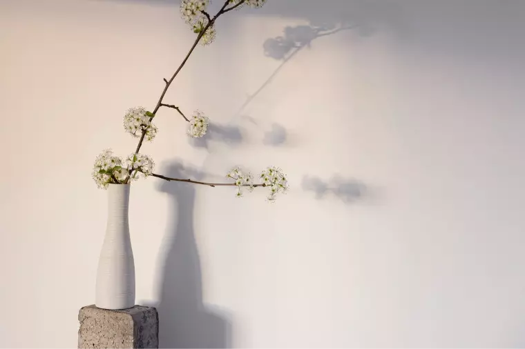 🌸30代女性会員さま ご入会報告