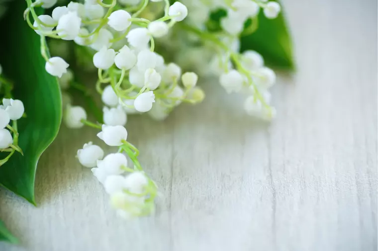 💗幸せになる力を育てる婚活