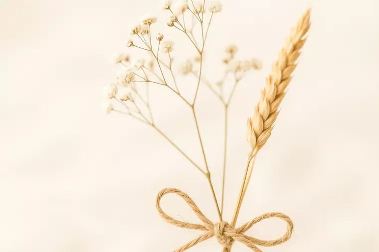 『幸せの法則』—心がほぐれた瞬間に、奇跡は訪れる。