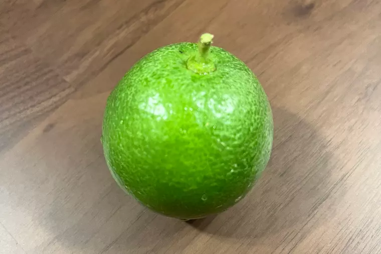 レモン収穫しました🍋