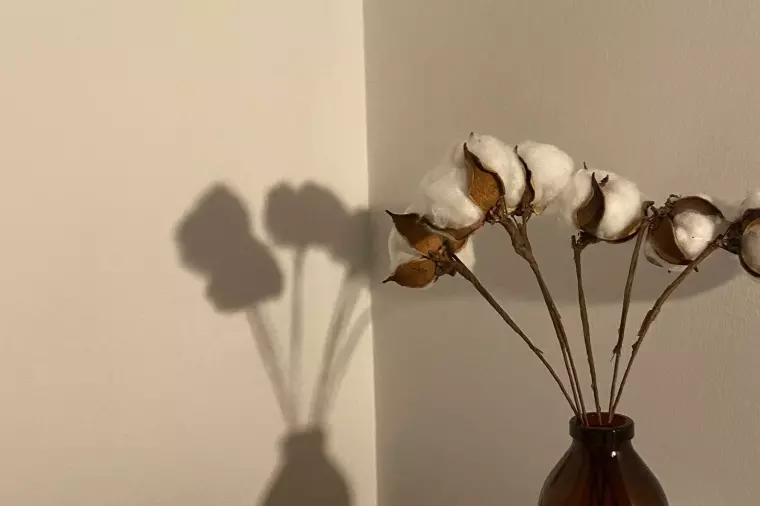 焦りたくないけど、このままでもいいのかな