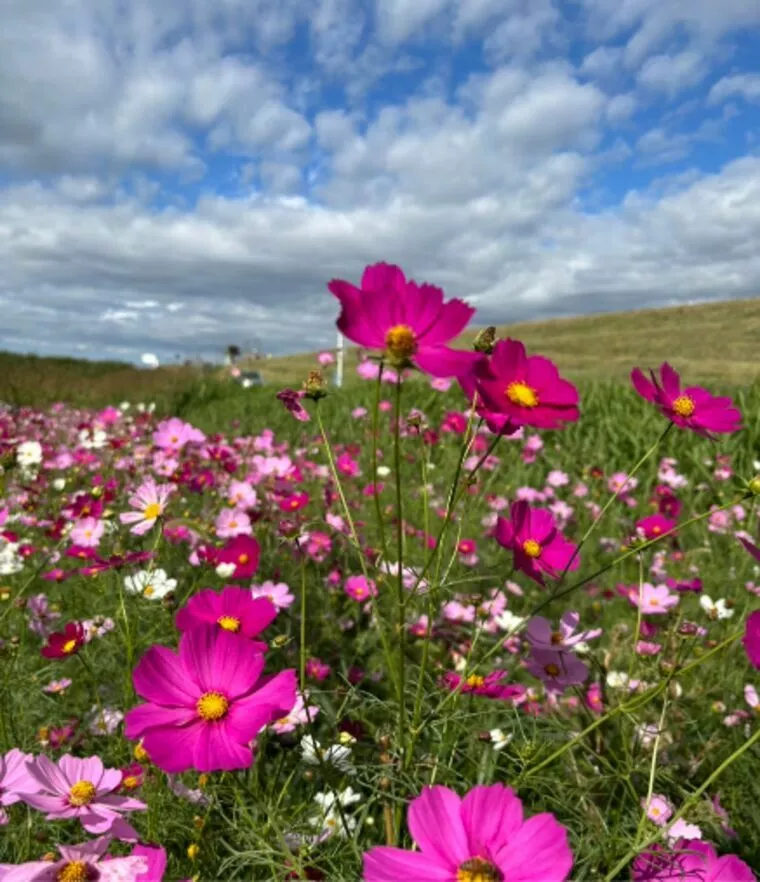 世界が動くとき、あなたの人生も動かそう！