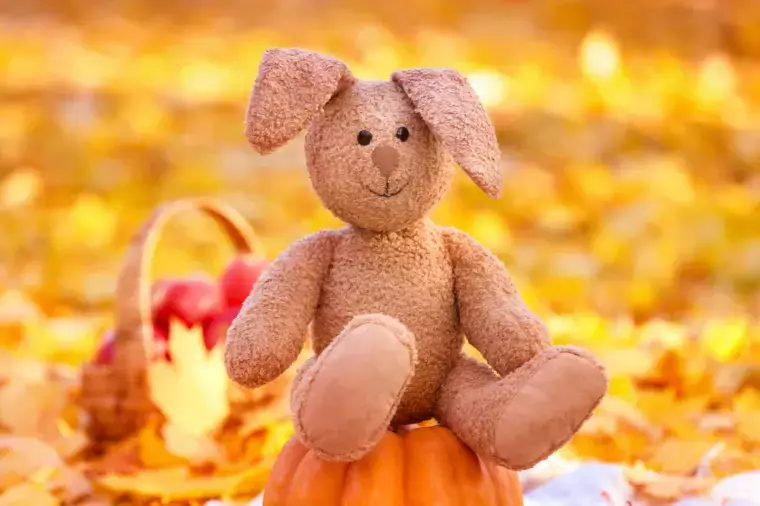 婚活サロン ラポルテ「【秋の婚活】関西の紅葉デートスポット10選」- 2