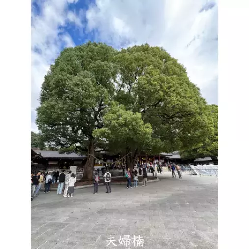 Annabell（アナベル）「東京大神宮、明治神宮、パワースポット巡り」- 2