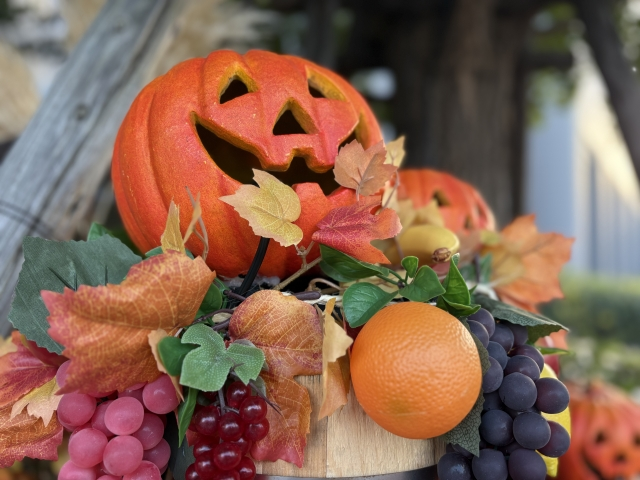 サンマリエ京都（ULP結婚相談所）「清潔感だけじゃなかった！好印象を残す黄金ルールとは」- 3