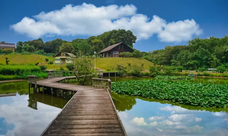 取手市で22年、あなたに寄り添うサムシング・ブルー