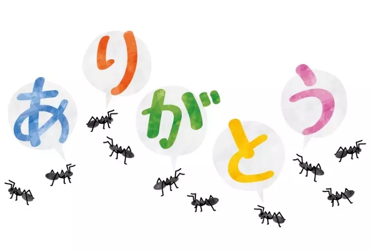 ANTIO marriage「自分磨きと婚活の　ANTIO　Marriageです」- 2