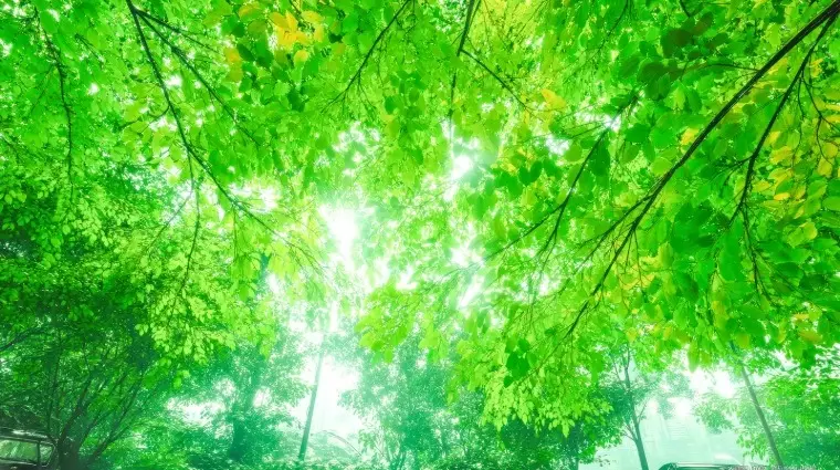 Sweetsmarry（スィーツマリー）相談所「ふたりで生きる幸せを見つけようキャンペーン【11月限定】」- 4