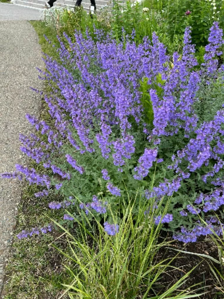  後半の人生をパートナーと共に、と考えているあなたへ