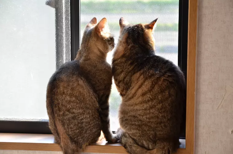 いい人がいたら結婚したい！では結婚はできない