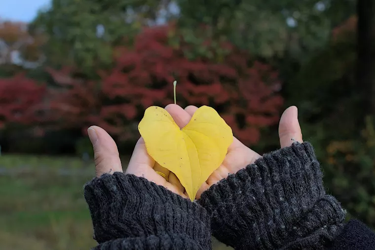 【5万円大幅割引き】お得にスタートダッシュを切るなら今！