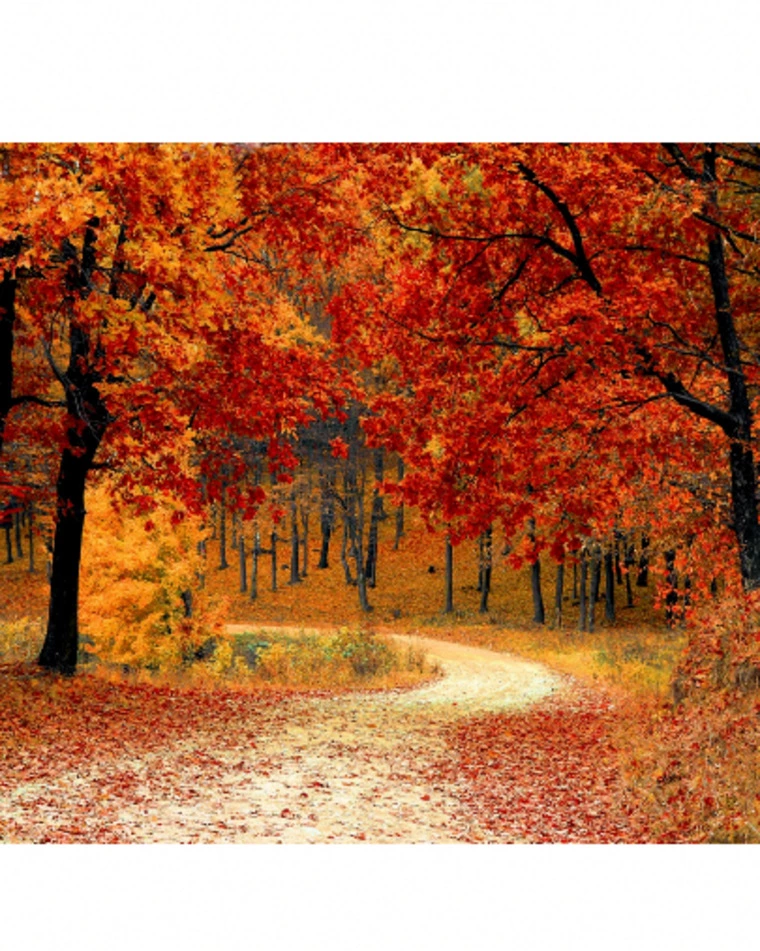 秋色デートで心が近づく季節。  紅葉がつなぐご縁のかたち