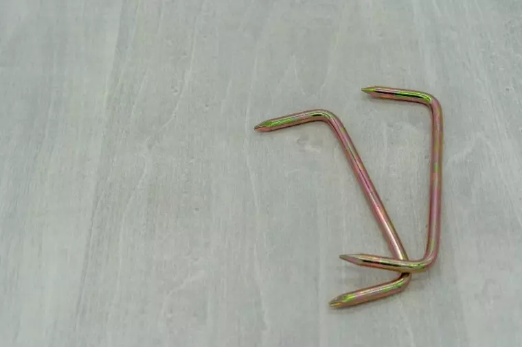 egao結婚相談所「婚活成功の鍵は「鎹(かすがい)」を見つけること」- 2