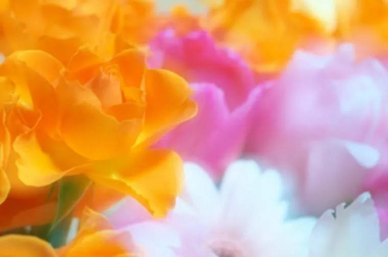 令和の幕開けとともにご成婚が続出です！