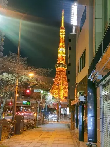 マリアージュ幸「過去より未来　バツイチ独身が歩き出す婚活の一歩」- 2