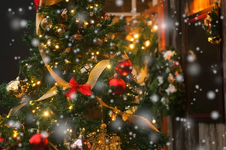 婚活を始めるなら今！クリスマス前がチャンスな理由