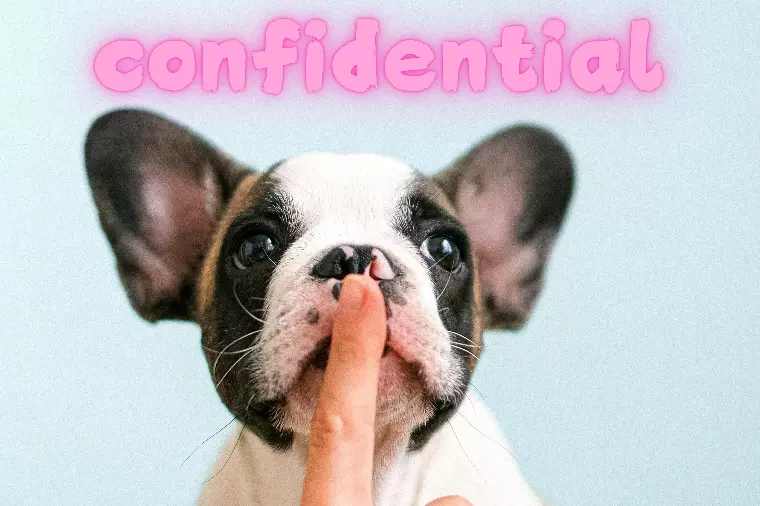 【厳秘】カウンセラーは“使い倒す”くらいがちょうどいい。