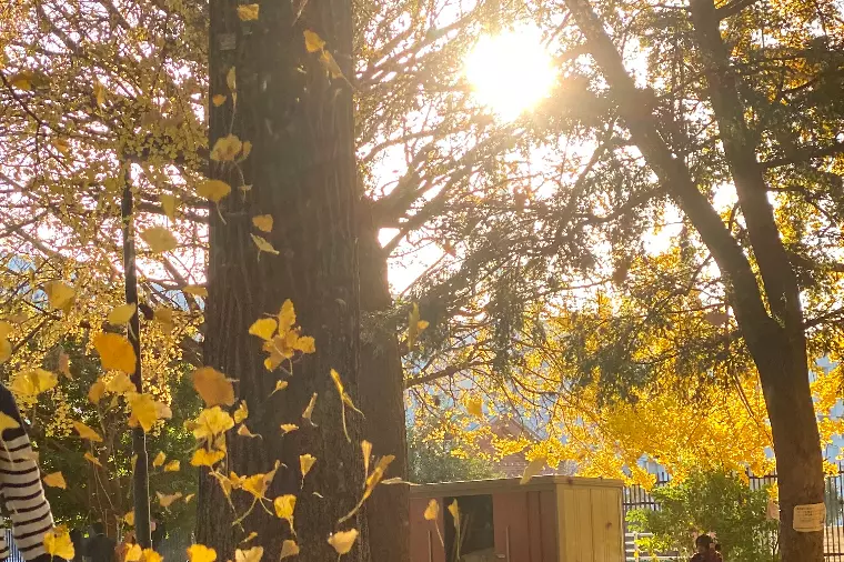 冬のデートは温まりたくて距離が縮まる！