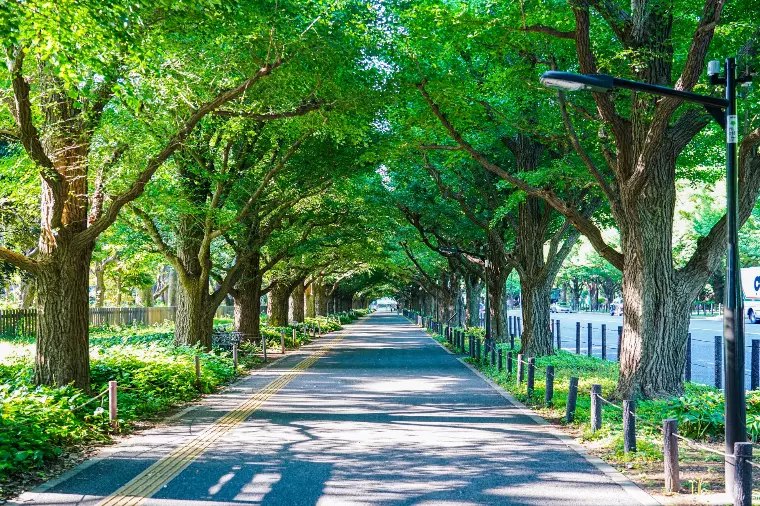 真剣交際後は意外に展開が早い