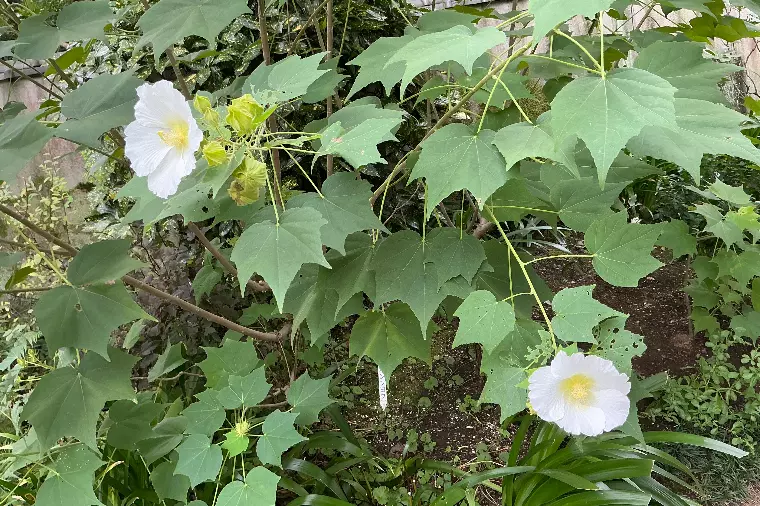 自分からプレゼントできる人間になる