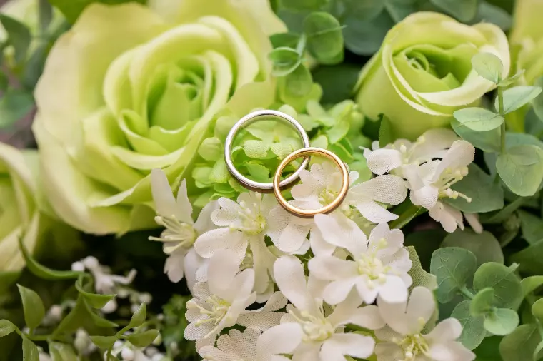 結婚相談所に向いている人ってどんな人？私たちの夢