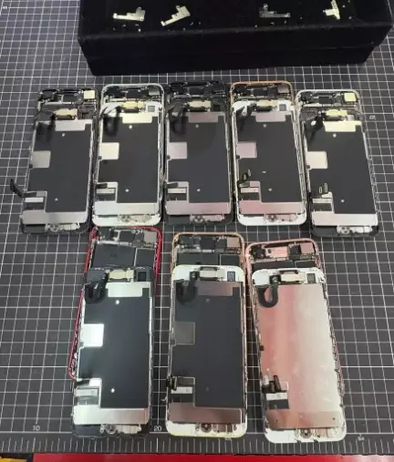 結婚相談所桜結び八王子「出来ることを増やしたい」- 4