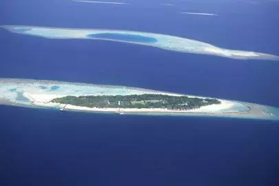 ウイン虎ノ門結婚相談所「手のかからない、ご成婚」-2