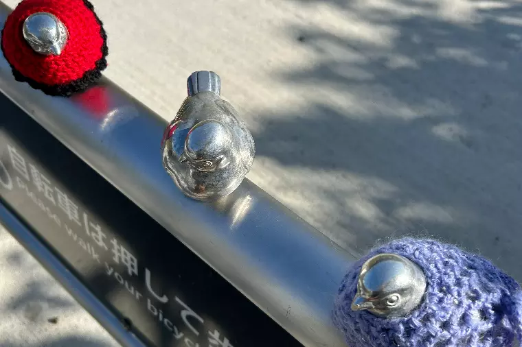 鳥さんも冬支度可愛い・・ピコリーノという名前らしいよ