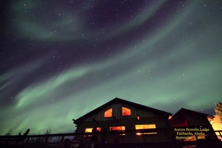 結婚相談所　FLAGSHIP「お見合いで好印象を残す一言とは？素直な気持ちが恋を動かす」- 2