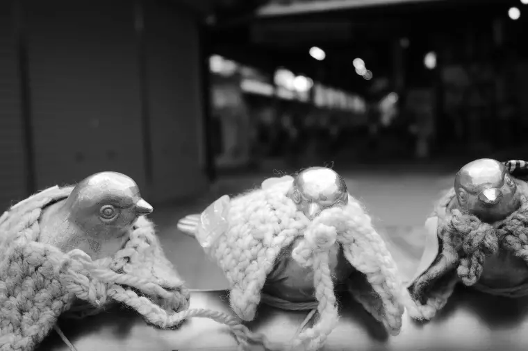 願望と現実を混同しない婚活が成婚への近道