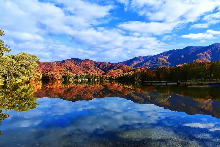 何でも本音で話せる雰囲気はある？