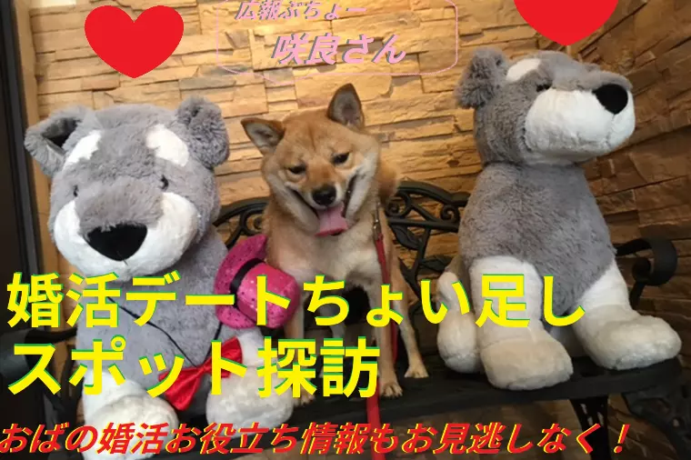 Youtubeチャンネル開設！