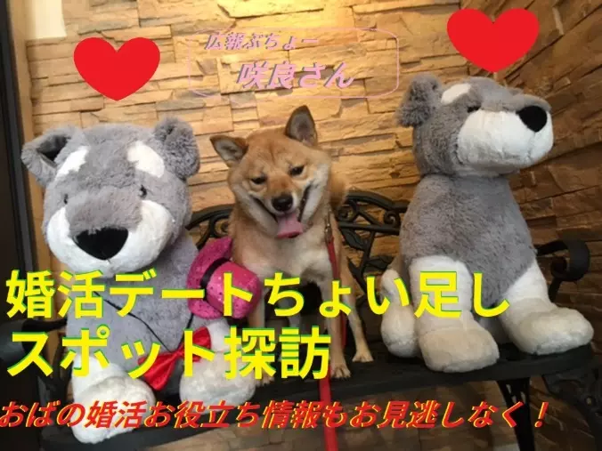 ブランシュール東海「Youtubeチャンネル開設！」- 2