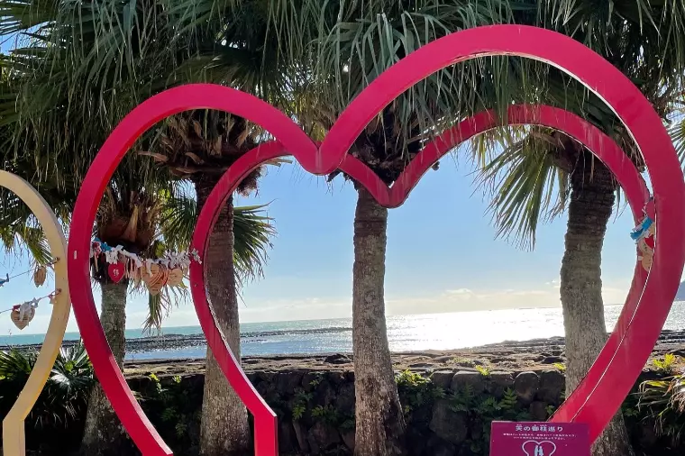 60歳女性からの婚活が教えてくれた