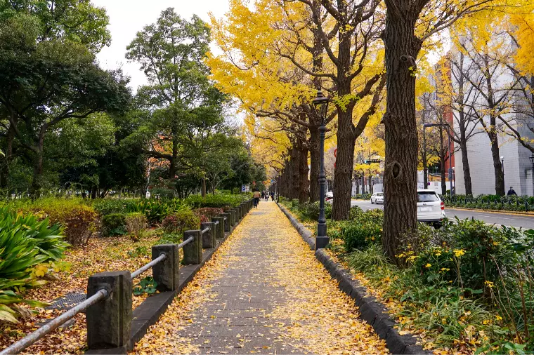 伝えなくてはいけない事