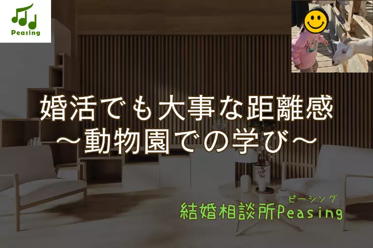婚活で重要な”距離感”　～動物園での気付き～