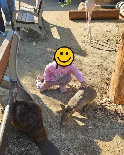 結婚相談所Peasing（ピーシング）「婚活で重要な”距離感”　～動物園での気付き～」- 2