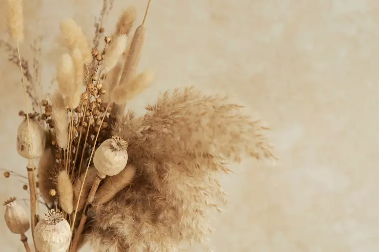 成婚する人の“共通点”