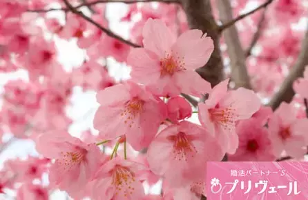 結婚相談所プリヴェール「ラブタイプ別に見る！初デートで失敗しやすいポイント 🍀」- 4