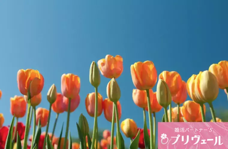 結婚相談所プリヴェール「ラブタイプ別・お見合いで“選ばれる人”と“選ばれない人”」- 5