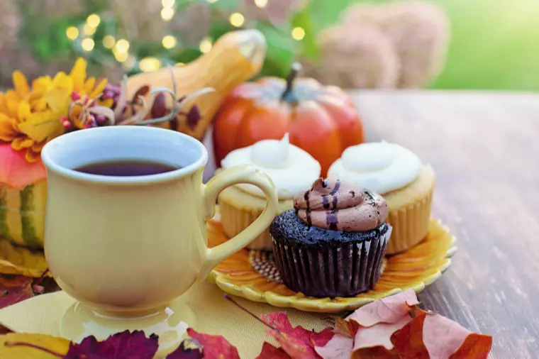 カウンセラーが日々感じている婚活のこと